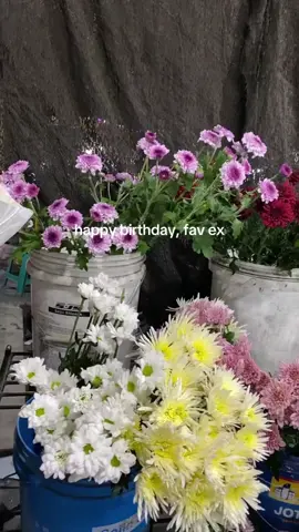 #hppybirthday #ex #4u #abcxyz #fypシ #fypシ゚viral #fyppppppppppppppppppppppppppppppppppp @rafkyputra10 