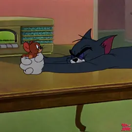 明日から #3連休 ✨ トムは、まだまだ #正月ボケ から抜け出せないようです🐱💤 #トムとジェリー #トムジェリ #連休 #お正月 #冬休み #2024 #tomandjerry #cartoon #animation #newyear #happynewyear #holiday #sleepy #sleepycat #おねむ #眠い #💤