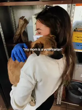 requests! 🩺🐴 #veterinarianlife #veterinaria #veterinariaedit #foryou #wdreamgirl #fyp 