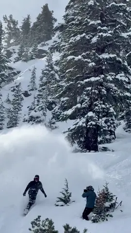 This week has been so fun getting our feet wet on some fresh powder. More storms are headed our way and we are looking forward to more of this. 🎥: 1/3-1/14 @GoPro #GoPro #snowboarding #skiing #skitok #POV #skiing #snow #powderday #mammothmountain #mammothlakes #california