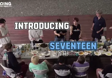 Its been a while🤍 #seventeen #fyp #seventeen17_official #scoupseventeen #jeonghan #joshua #jun #hoshi #wonwoo #woozi #dk #mingyu #the8 #seungkwan #vernon #dino 