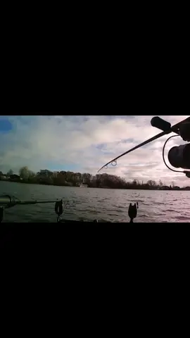 Carp Run  #carprun #carpruns #carpfishing #lakes #angler #fishingvideos #tattershalllakes #fishinguk #catchandrelease #fishinggirl #ospreylake #fishinggirls #fishingholiday #commoncarp #fishing #bitealarms #carpbite 