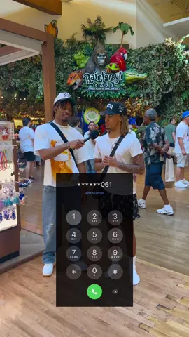 What mall should I come to next