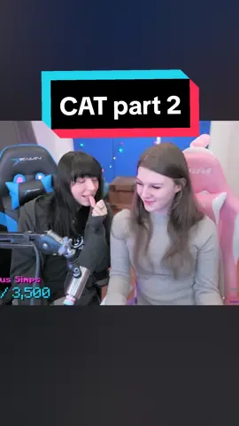 Two girls and a cat part 2 with special announcement! 😍 #f1nn #f1nn5ter #big_icky #finn #finnster #catstory #blackcat #catdistributionsystem 