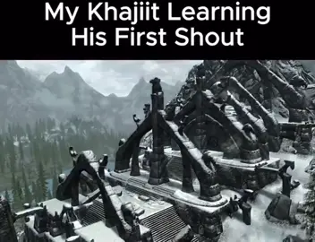#funny #video #memes #meme #blowthisup #fun #cats #dankmemes #followme #tiktok #gaming #skyrim #khajiit 