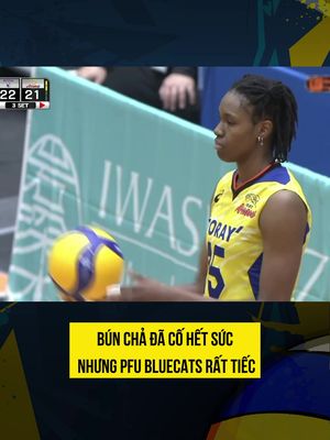 Ông Chả bình luận buồn cười quá 😂 #bongchuyentv #thapcamtv #bongchuyen #volleyball #volleyballhighlights #xuhuong #viral #bongchuyentivi #tranthithanhthuy #pfubluecat 