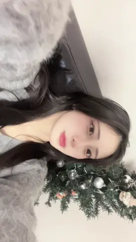 まだクリスマスツリーあります🎄