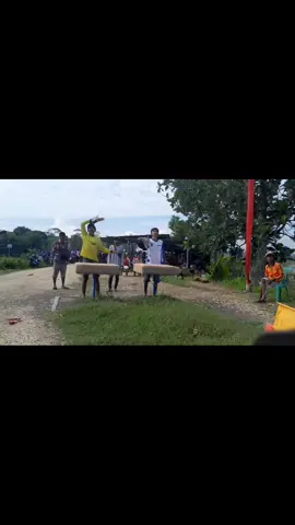 SINDU perdana ikut lomba ring semoga lebih membanggakan 😇 #merpatijablay #fypシ #viral #pmtiofficial❤️ #hobbymerpati #capcut 