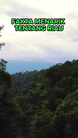 di Riau ada fakta menarik apa aja sih ?? 🤔 Video by @Mahfud ubaiduloh @yurinta07 @740 aerial videography @Hermansysah kejora @DiaryAbdi @Dicaprio @InhilFrame @hy.putra  Lokasi : Provinsi Riau #kampar #dumai #siak #inhil #rohil #siaksriindrapura #meranti #riau #airterjunbatangkapas #dumaikota #jembatansiak #indragirihilir #bagansiapiapi #danauzambrud #ciancui #pesonariau #exploreriau #pariwisatariau #wisatariau #keriauaja #capcut #semuapakebrimo #foryou #foryoupage #cinematics #aesthetic #fypgakni #fypシ 