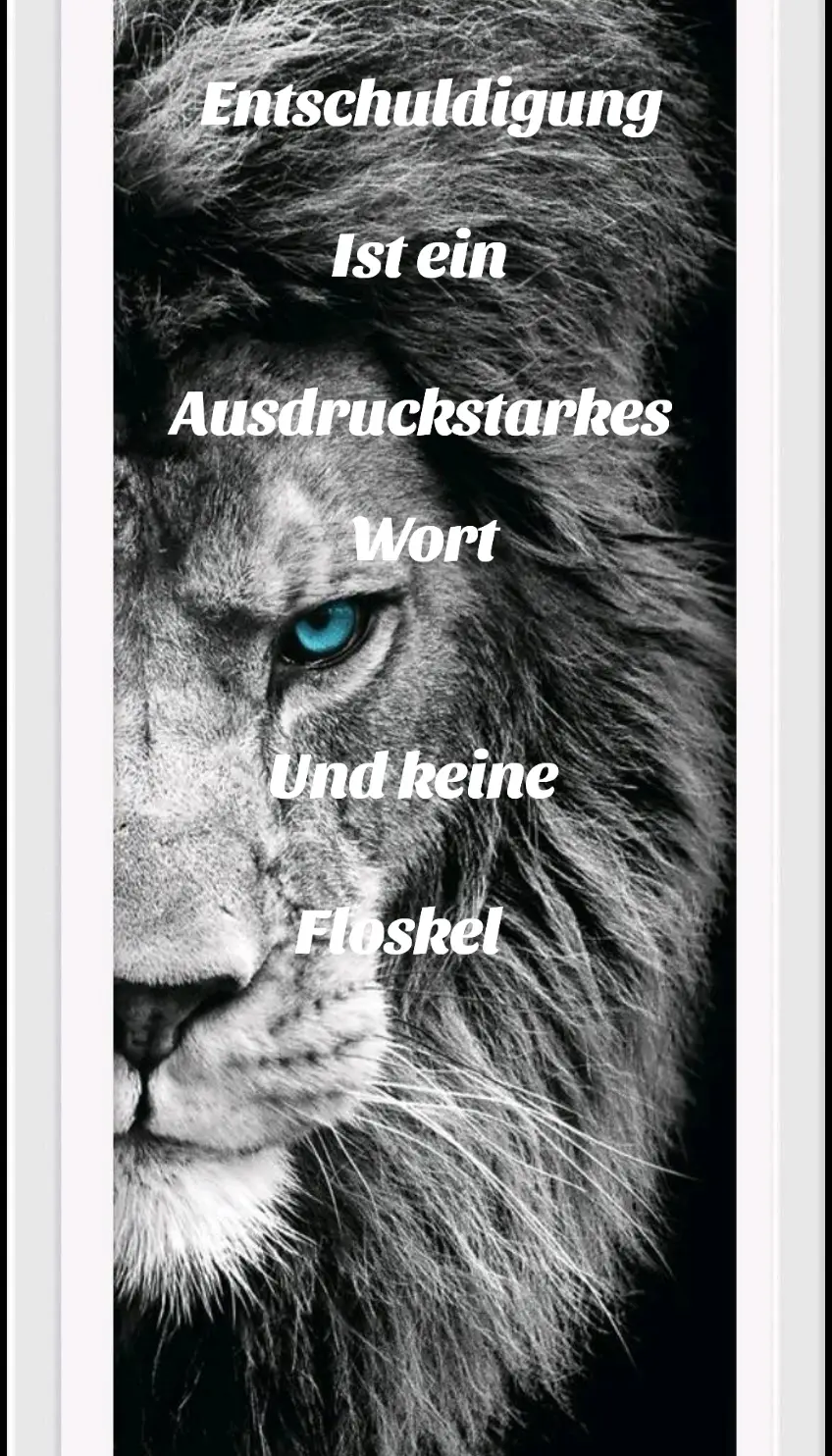 Wer sich entschuldigt solle es auch so meinen #sprüche #grüsse #reime #zitat #zitateundsprüche #goodevening #schönenabend #gutenabend #relax #goodvibes #liebegrüße #lion #löwe #weekend #wochenrnde #fyp #respect 