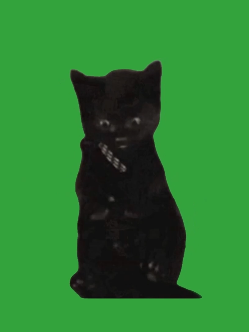 Cute Kitty Cat Collection Animated | Green Screen #cute #cutecats #cutecatsoftiktok #kitty #kittycat #kittycatsoftiktok #cat #cats #catsoftiktok #catsofinstagram #gato #gatos #gatostiktok #chromakey #animated #collection #greenscreen #greenscreenvideo #greenscreentiktok