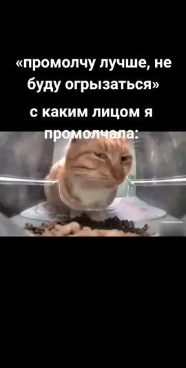 #рек #шутка 