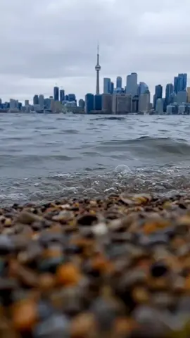 The gray hue in sky and water seamlessly blends 🦢🦢🇨🇦✨️ #cntower #natureworld #lakeontario #newyears #winter #toronto #torontolife #healing  #canadaimmigration #fyp #foryoupage #paksitani 