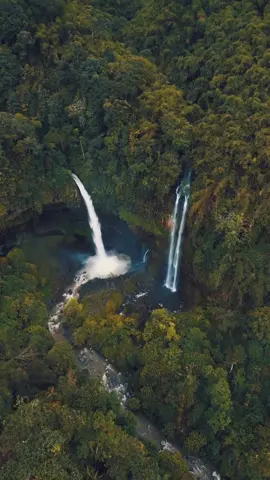 Curug ini bernama Curug Ciparay yang berada di kaki Gunung Karacak dan Dinding Ari Galunggung. Tempat ini masih sangat alami dan jarang dikunjungi wisatawan, hingga menjadikannya sebagai surga tersembunyi. Curug ini juga terkenal sebagai “Curug Kembar” karena memiliki dua aliran air terjun. Yang pertama memiliki ketinggian 55 meter, sedangkan yang kedua mencapai 75 meter. . Lokasi: Desa Cidugaleun, Kecamatan Cigalontang, Kabupaten Tasikmalaya . — 🎥 @yko_vn #wisatajawabarat #wisata #fypシ #pesonaindonesia #jawabarat #indonesia #pesonajawabarat #fyp 