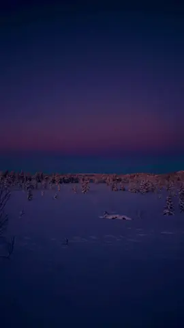 winter magic #winterwonderland #sunset #fyp 