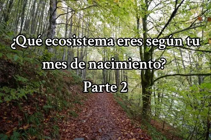 Ay, que bonitos los ecosistemas mexicanos alv v: #fypシ #SabiasQue #AprendeEnTikTok #biology #cienciaentiktok #aprendetiktok #parati #biologia #sorprendente 