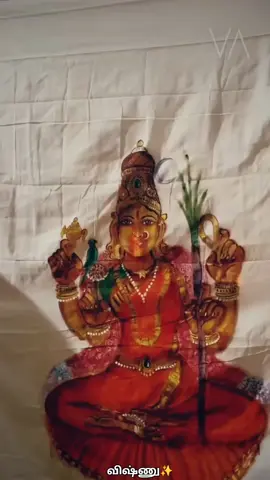 kamakshi KarunaKadakshi✨️🙏♥️🌺 #maayaa #parabhrammaswaroopini #amma #kamakshi #enakkulirukkumdevi #myUnconditionalLove 