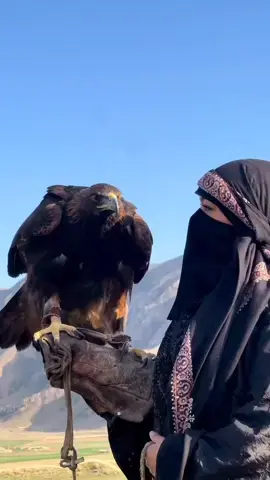 🐎🦅🌵Veiled Arab Woman Explores the Beauty of the Desert with a Horse and an Eagle 🐎🦅🌵 #DesertExploration #arabe #desert #amazing #VeiledAdventures #eagle #horses #ArabEquestrian #NatureBeauty #HorseRidingViews #explore  #WildlifeEncounter #adventure #SandsAndSilhouettes #trending #outdooradventures #foryou #tiktok #fyp #1000k #dreams 