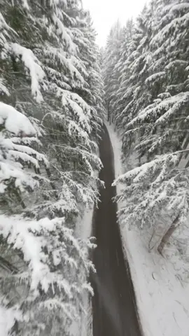 Who wants to drink coffee in a van between snow-covered trees? ☺️ @madolein  #austria #winter #fpv #drone #nature #outdoor #drohne #natur #reisen