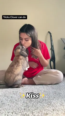 Tricks Clover can do only after a few days of training 💛 #bunny #bunnies #bunnytricks #bunnytok #rabbit #rabbitsoftiktok #rabbits #bunnylove #bunnytok #smartpets #smartanimals 