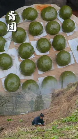 Chinese craftsman Uses wild herbs to make delicious Chinese buns rural life in china countryside life and cooking #tiktokindia #tiktok #turkey #kazakhstan #kirgizistan🇰🇬 #fypシ #fyp #fypage #beauty #football #usa #china #korean #chile #japan #craft #foryoupage #foryou #asmr #explore #humor #fy #fypシ゚viral #asmr #trending #capcut #comedia #stitch #meme #greenscreen #duet #keşfet #cooking #eating #food @Tobi • Post-Grad life @LiXiaoAi @cook_as_you_feel_it 