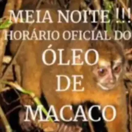 #meianoite #horariooficial #oleodemacaco #fy #00h 