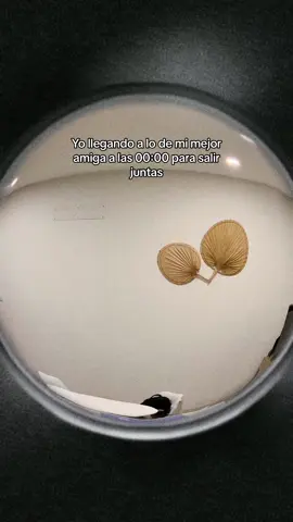 Sigo al comentario 1000 