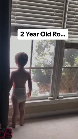 • Runs Deep • #2yearsold #eyeofthetiger #rocky #throwback #roknows #didntjuststart 