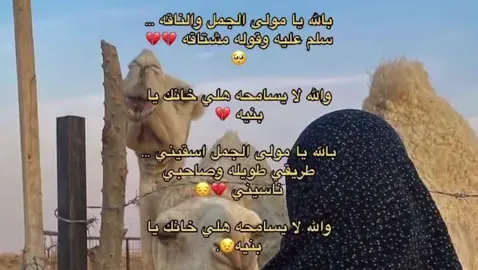 #تفاعل♥️♥️#شتاوي_غناوي_علم_ليبيه #غناوي_علم_فااااهق🔥 #ليبيا #طرابلس #بنغازي #طرابلس_بنغازي_المرج_البيضاء_درنه_طبرق #capcut #fyp #شعب_الصيني_ماله_حل😂😂 