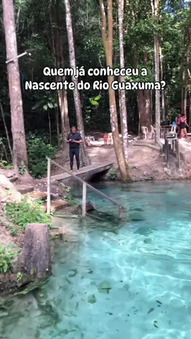 Quem já conheceu a Nascente do Rio Guaxuma? Muito confundida com Lago Azul, é também conhecida como piscina natural de Guaxuma. Já postamos muito sobre ela em 2020, quando descobrimos o point, que hoje, vem se popularizando e tendo mais “investimento”. O local fica na cidade de Coruripe, no povoado Poxim, próximo a usina Guaxuma, à 70 km de Maceió. Local mágico para quem gosta de natureza! Só não pode ser considerado excelente por falta de estrutura. Localizado no meio da mata preservada, sua água azul de nascente, com temperatura média de 13 graus centígrados, mesmo no verão, é ideal para refrescar o corpo e a mente. A entrada atualmente não é mais gratuita, hoje paga-se R$10 por pessoa. O local é acessível de carro (a estrada é esburacada), e tranquilo para ir em grupos de amigos ou com a família. Vale ressaltar que o local não possui comércio, então levem tudo que precisar, como repelente, água e lanches. • Lembrar de levar uma sacolinha pra reconhecer todo lixo e manter o local limpo! 📹 jolopeszero #rioguaxuma #nascenterioguaxuma #coruripe #alagoas #lagoazul #nordeste 