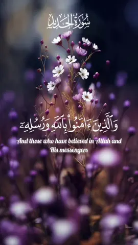والذين آمنوا بالله ورسله أولئك هم الصديقون والشهداء عند ربهم  #سورة_الحديد #قرآن #قرآن_كريم #راحة_نفسية #عبد_الباسط_عبد_الصمد #عبدالباسط_عبدالصمد #quran #quran_alkarim #رجل_يسعى 