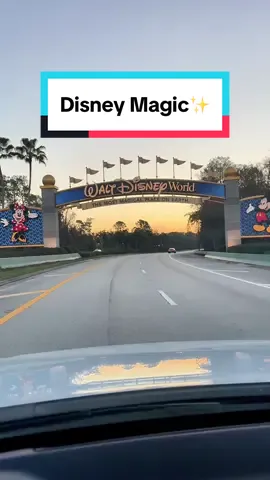Disney magic 🏰🐭✨ #disney #disneyworld #waltdisneyworld #disneyparks #magickingdom #wdw #disneymagic 
