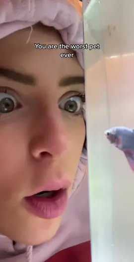 Little Dude gets a pet….@