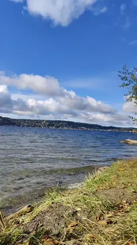 Whether you're not doing okay or if you're on top of the world. There'll always be that place where you can go and find an area that suits you. It'll be okay my friend, take your time on things and we'll find that area together. #nature #livephoto #washington #livephotowallpaper #livewallpaper #lakewashington