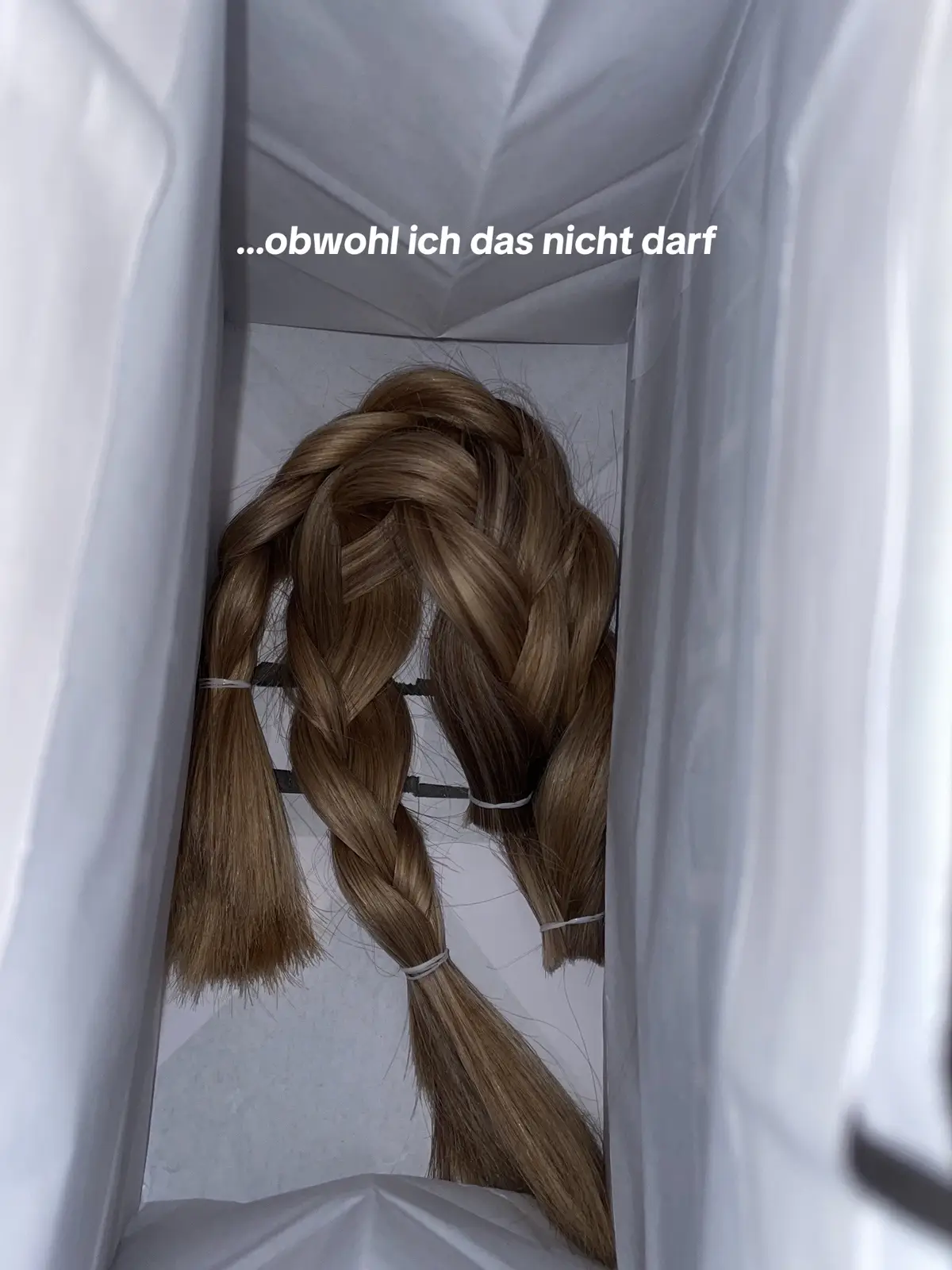 #fypシ #fyyy #fyp #fürdich #fürdich #ichdenkandichobwohlichdasnichtdarf #trending #trend #hairtok #hairgrowth #hairgrowthtips #wowhair #longhair #cuthair 