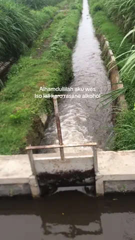 Kamdullilah #quotesjowo #jowostory #fyp #kediri24jam #xyzbca 