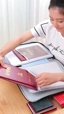 A solução Perfeita para Armazenar seus Documentos! #organizacao  #bolsaorganizadora  #viagem