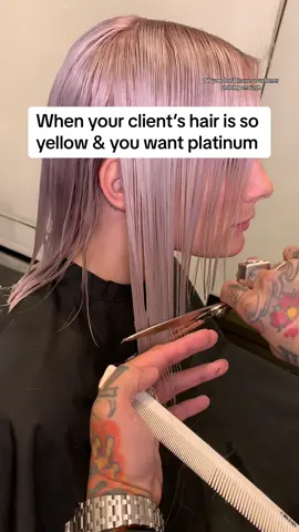 Did we slay this platinum blonde bob by myself & @Philip Wolff and leave no crumbs? #platinumblonde #bobhaircut #fypシ #colorcorrection #hairtransformation #hairtutorial 