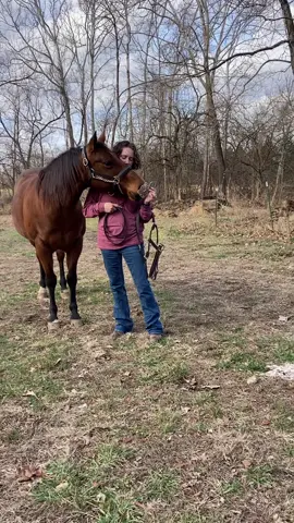 A few clips from the celebration photoshoot me and daughter did. Rosie was her affectionate and nosey self. #horse #horsesoftiktok #equestrianlife #baymare 