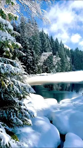 #snow #winter #nature #travel #scenery #landscape #beautiful #foryou #fyp 