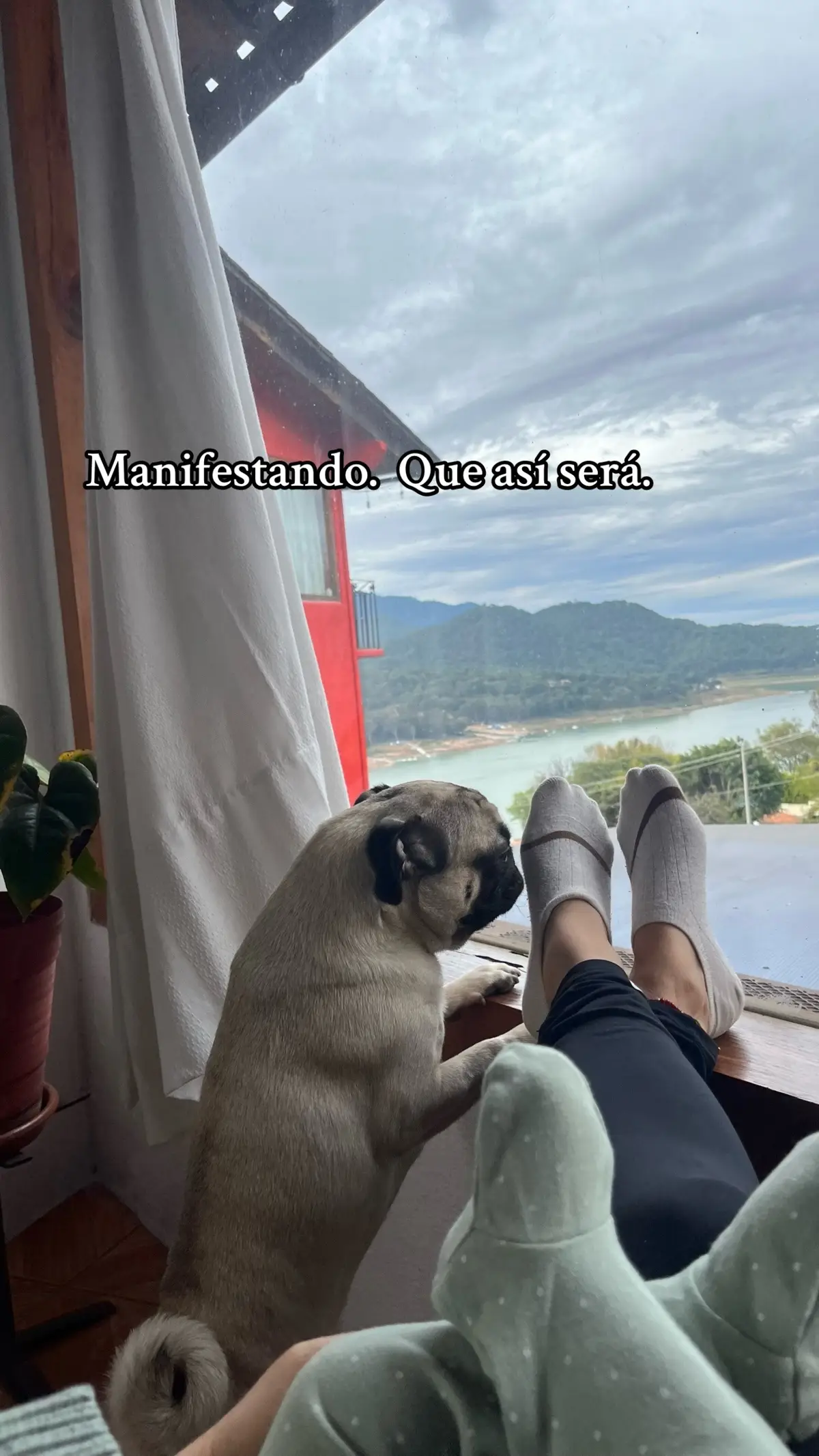 Buen comienzo de año 2024#relax#bienvenido2024 #perritos #familia#parati#manifestando