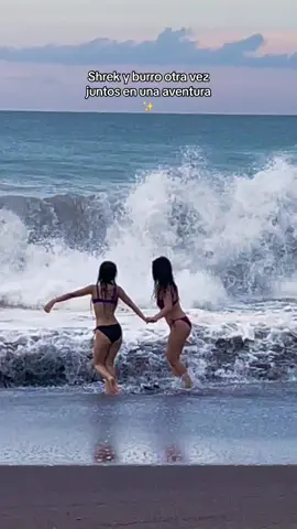 JAJAJAJA tenia que hacerlo #parati #xyzbcafypシ #viral #mar #mejoramiga #revolcadadeolas🌊 #vivir #comedia #humor #chistosos @Annika Pérez 