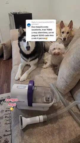 Replying to @rosariocastillo2987 #sale #dogsoftiktok #pet #groomer #petgrooming #k9softiktok #tiktokshop #oneisallofficialus #limpiezadecasas #paramischachafans 