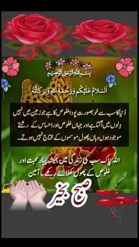 #beshaq❤️ #pageforyou_🔥trending❤️video💯 #pageforyou_🔥viral #unfrezzmyaccount #pageforyou_🇵🇰🇺🇸 