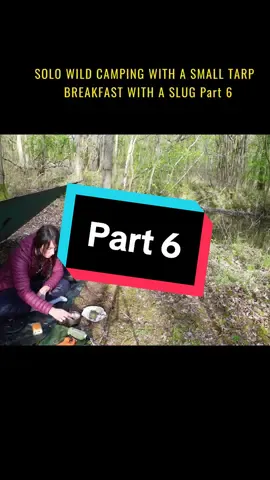 @WildBeare Part 6 #Outdoors #camping #survival #foryou #fyp 