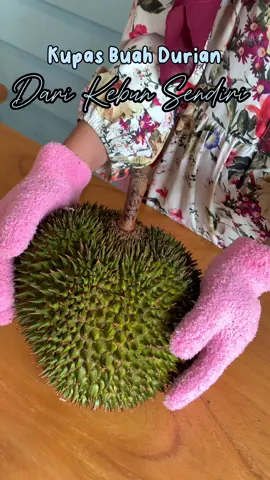Baru upload tentang durian dari kebun lagi nih 🤤 #doyanmakan #doyanjajan #doyannonton #makanenak #enakbanget #durian #durianlover #durianmatahari #durianmatangpohon #durianjatuhan 