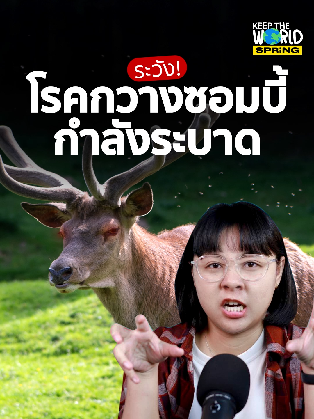 ระวัง! โรคกวางซอมบี้ กำลังระบาดในสหรัฐฯ  #ข่าวtiktok #โรคกวางซอมบี้#Zombiedeerdisease #โรคระบาด #กวาง #chronicwastingdisease #สาระความรู้ #history #เรื่องเล่า #สิ่งแวดล้อม #KeepTheWorld #tiktoknews