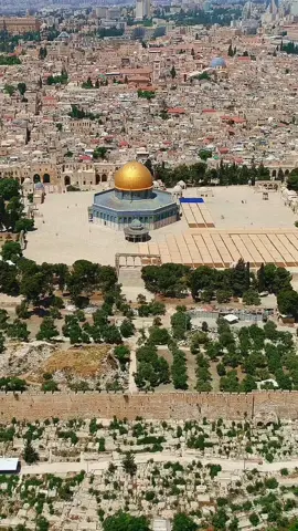 سَيرجعُّ يوماً أقصانا💚🇵🇸 -🕊️ -🕊️ -🕊️ #فلسطيني_الهوى #فلسطين #تراث #فيديوهات #القدس  @palestine_reels_ 