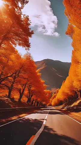 Scenery#scenery #beautifull 