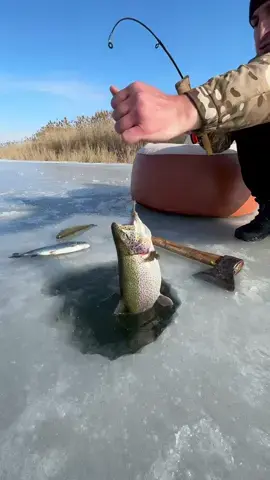 This guy sure knows how to enjoy food and nature! 🎣🌿 📽 @Anzor Gasaev  📍 Almaty, Kazakhstan #fishing #winterfishing #Kazakhstan #natureeats#beautifuldestinations #beautifulfoods  